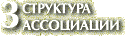 3. Структура Ассоциации