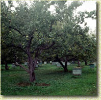 ������������� ������