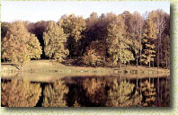 ��� � ���� �������