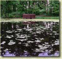 ������� ����