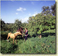 ��� � �������