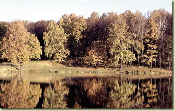 ����� ������. ��� � ���� �������