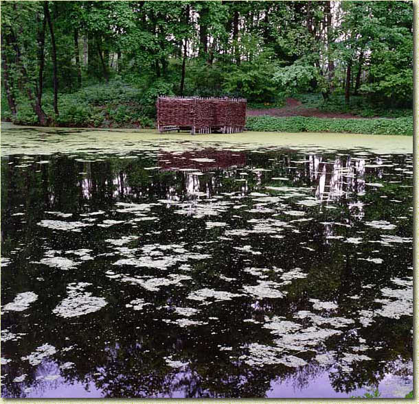 ����� ������. ������� ����