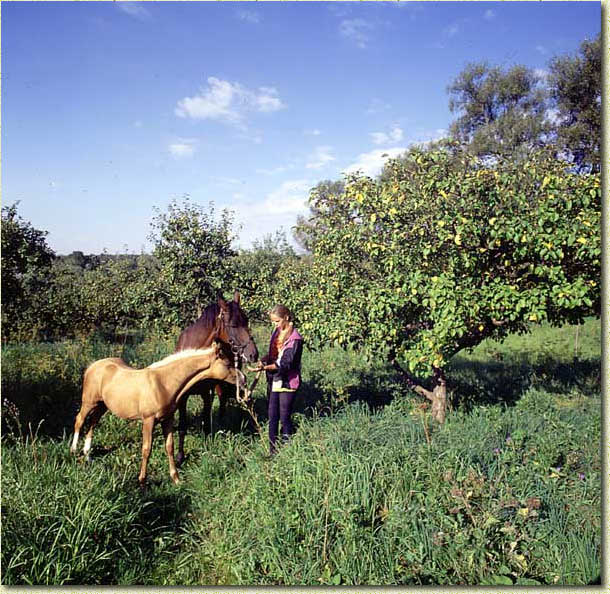 ����� ������. ��� � �������