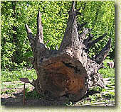 ���� ���� �������