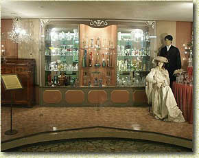 "��������� ������� ����������� ������ �.�. �������-��������"