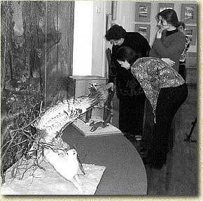 �������� �������� � �����