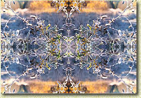 �������� ���������� ���� �������� �������� ����