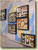 �������� "��������� � ��������-II". ������� ������