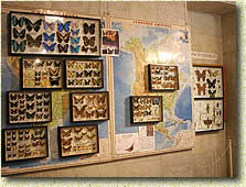 �������� "��������� � ��������-II". ������� �������