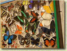 �������� "��������� � ��������-II". "������� ������"