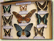 �������� "��������� � ��������-II". ��������� ���������