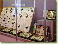 �������� "��������� � ��������-II". ����� ��������� �����