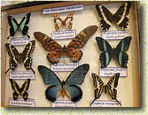 �������� "��������� � ��������-II"