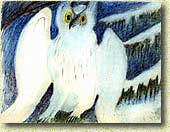 �. ������. ����