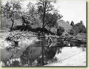 �������� ���������� �. �. �����������