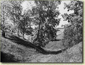 �������� ���������� �. �. �����������