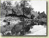 �������� ���������� �. �. �����������