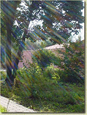 "���� ����"