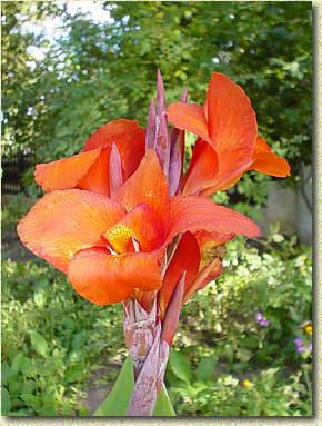 �������� ���� � ���� ����������