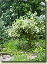 �������� ������ ��� ������ ���� ����������. ���� 2004 �.