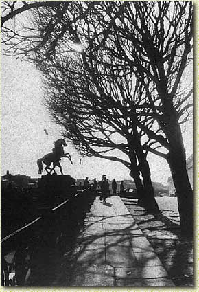 �. ���������. ����. ������� ����