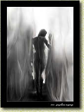 �� �������� ���� ����