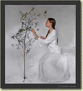 �� �������� "��� ���"