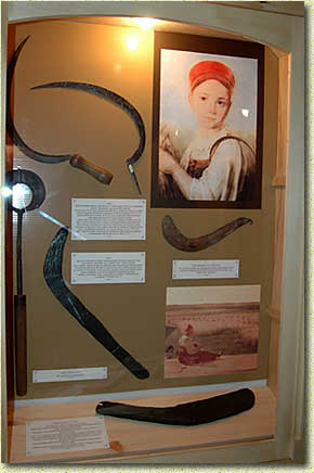 �������� ����: ������, ������