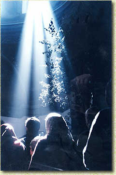 �. �������. ������