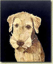 �. �. ��������. ����-�