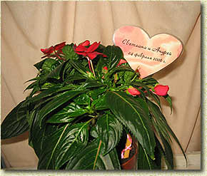 ����� ��������� ����� "������: ����� ������"