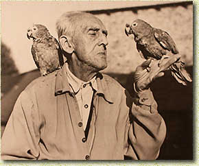 ������ � ��������. ���� �. �. �����������