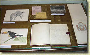 ����������, ����������� �������-������� � ��������������� ������� ����������� ����������