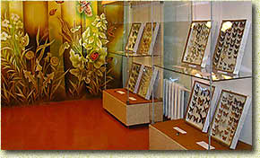 �������� ������ ������. ������� �� ��������� ���������� ���������� �������������� ������