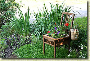 � ����������� �����-����������� ������� ����! 