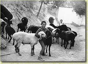 �.�. ���������. ����� �� ���������. 1974 �.