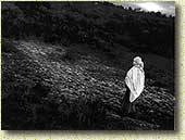 �.�. ���������. ������. ����. 1963 �.