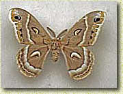 ������� ������������� ������