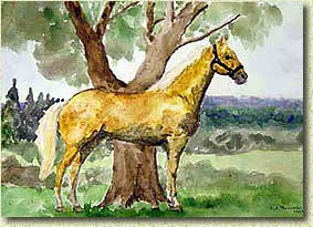 ������� ����. ������� ������