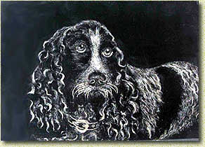 �.�. ��������. ��� ����