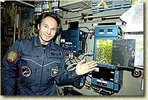 �������� �������-���������� �. �. �������� ����������� �����