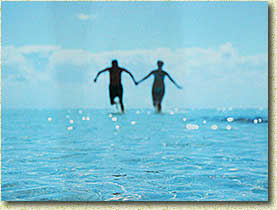 �. �����. ����