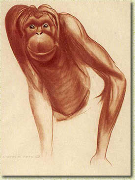 �. ����� �� ������. ����������. 1928 ���