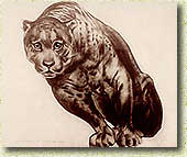 А. Бенуа ди Стетто. Черная пантера. 1927 год