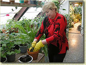 ��������� ��������