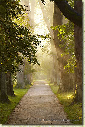 �.�. ��������. ����� ����