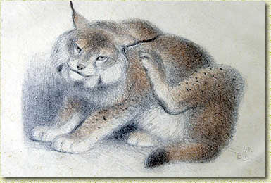 ����. �.�. �������. 1948. ������, ��������������