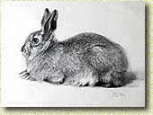 ������. �.�. �������. 1948. ������, ��������������