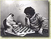 ���� ��������. 1980-� 